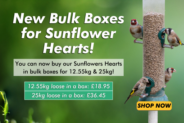 Sunflower Hearts Bulk