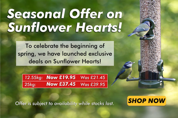 Sunflower Hearts Sale