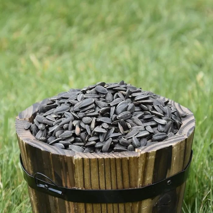 Small wooden bucket filled with Black Sunflower Seeds