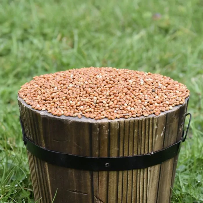 Small wooden bucket filled with Red Millet Seed for Birds