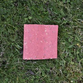 One red berry flavour Suet Block lying on grass