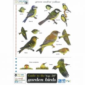 Field Guide - Garden Bird