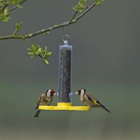 Goldfinch Finder