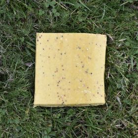 One yellow insect & mealworm flavour Suet Block lying on grass