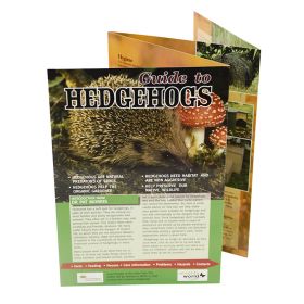 Guide to Hedgehogs