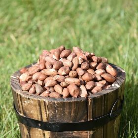 Small wooden bucket filled with Peanuts for Wild Birds