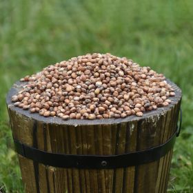 Small wooden bucket filled with Red Dari Seed for Wild Birds