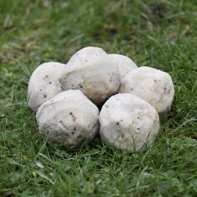 Pile of 6 white suet balls for wild birds
