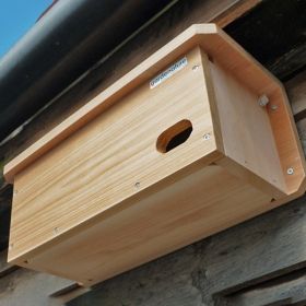 Swift Nest Box Camera System (Wired)