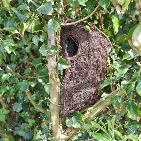 Brushwood Tree Nest Pouch