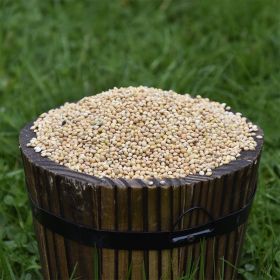 White Millet Seed for Birds