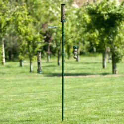 Bird Feeding Pole