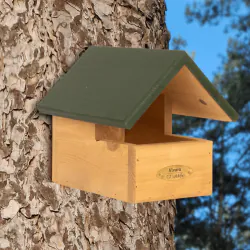 Blackbird Open Nest Box