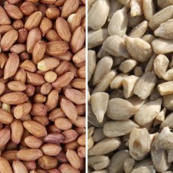 Seed Bundle - 12.55kg Sunflower Hearts and 12.55kg Peanuts 