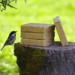 Suet Blocks Insect & Mealworm