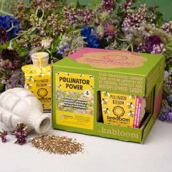 Pollinator Power Seedbom Bundle