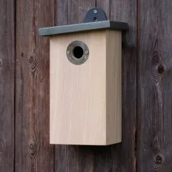 Simon King Predator Resistant Nest Box
