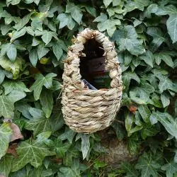 Oval Nest Pocket