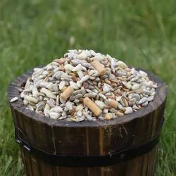Ready Peck Seed Feeder Mix