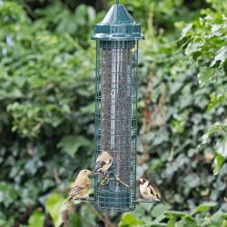 Squirrel Buster® Finch 1.4Litre Niger Seed Bird Feeder