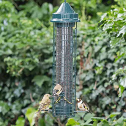 Squirrel Buster® Finch 1.4 Litre Niger Seed Bird Feeder