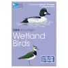 RSPB ID Spotlight - Wetland Birds - 0