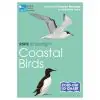 RSPB ID Spotlight - Coastal Birds - 0