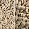 Seed Bundle - 12.55kg Sunflower Hearts and 12.55kg Sunflower Chips - 0