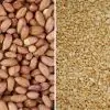 Seed Bundle - 12.55kg Peanuts and 12.55kg Peanut Granules - 0