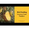 Insect and Mealworm Coconut Shells  - 2