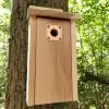 Nest Box Protection Plate  - 1