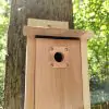 Nest Box Protection Plate  - 2