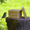 Suet Blocks Insect and Mealworm - 0