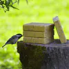 Suet Blocks Insect and Mealworm - 3