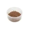 Live Mealworms Mini (9-13mm) - 3