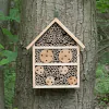 Nooks & Crannies Large Insect House - 2