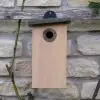 Simon King Predator Resistant Nest Box - 2