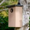 Simon King Predator Resistant Nest Box - 1