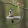 I Love Robins Hanging Treat Feeder  - 2