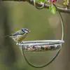 I Love Robins Hanging Treat Feeder  - 3