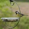 I Love Robins Hanging Treat Feeder  - 7