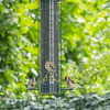 Squirrel Buster® Finch 1.4 Litre Niger Seed Bird Feeder - 1