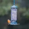 Squirrel Buster® Mini 600ml Bird Feeder - 0