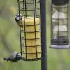 Suet Rolls Insect and Mealworm - 0
