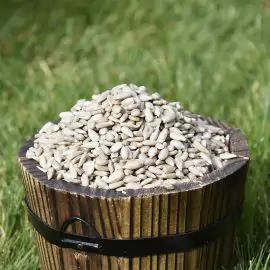 Wooden bucket filled with sunflower heart seeds