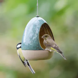 greenfinch and great tit sitting on National Trust Vierno Drinker Water Dish