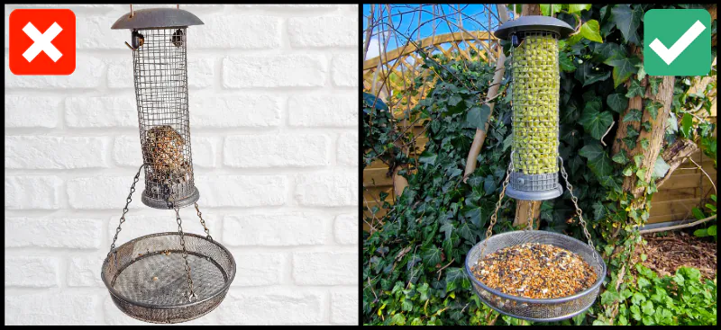 How, Why & When Should You Clean Your Bird Feeders