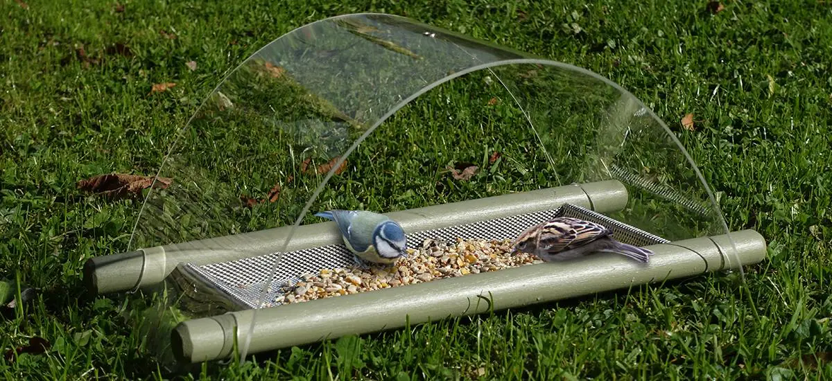 The Best Way To Use Ground Bird Feeders & Tables