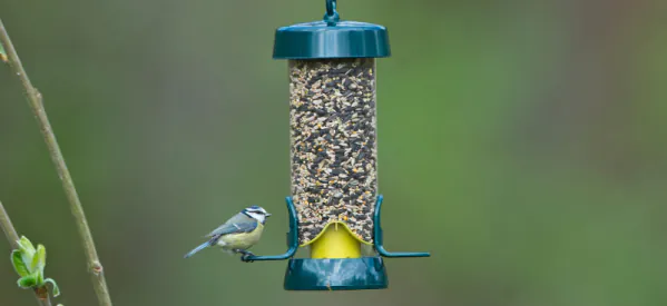 Top 5 Easy to Clean Bird Feeders