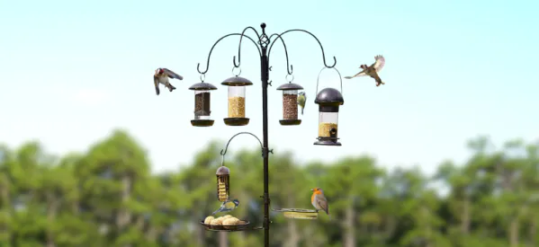 How to Build the ULTIMATE Bird Feeding Station